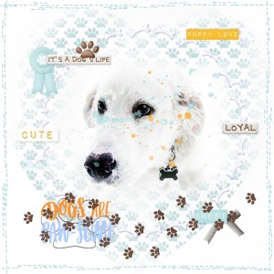 LOVE Our Designers-February 22nd-Daily Crush:Kristin Aagard-Doggy Love