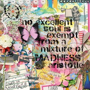 A mixture of madness
