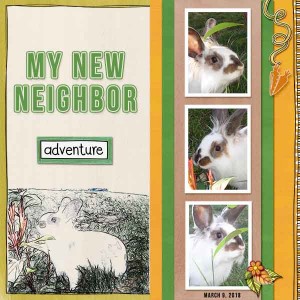 My New Neighbor
