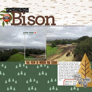 Bison032019PC