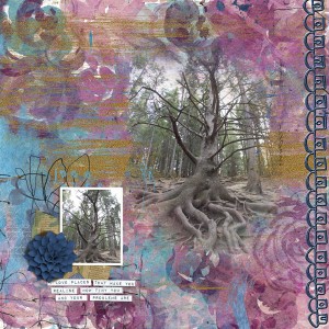 The Grandfather Tree