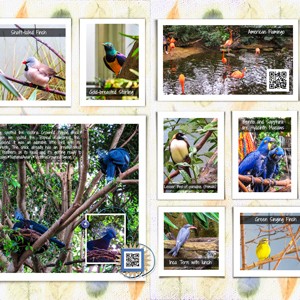 Birds at the National Aviary