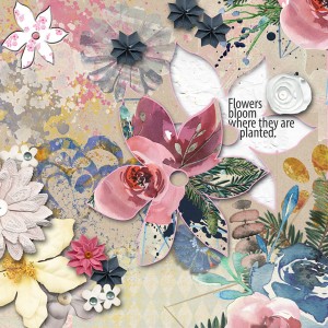 inspiration Flowers-March