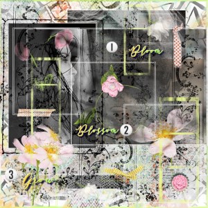 Inspiration Challenge-March-3 Different Types/Kinds Of Flowers-Born To Be