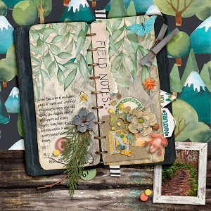 2019 Field Notes Lincoln Park