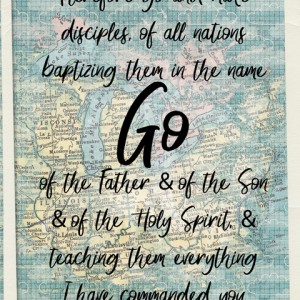 Go canvas (Love our Designers - Amy Wolff)