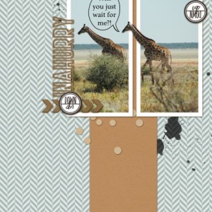 Mar2019-Slow13