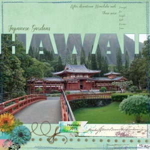 Hawaii-Scraplift