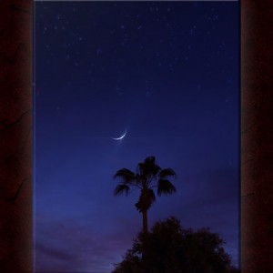 03-19_Balmy Moonlight