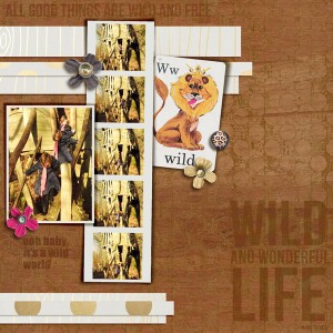 Wild & Wonderful Life