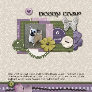 3-13sgleason_doggycamp