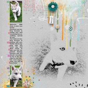 Welcome-little-Eska