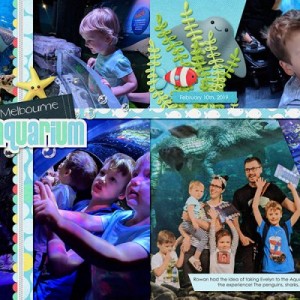 Aquarium Visit