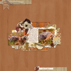hedgehog