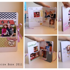 year review hybrid book 2011