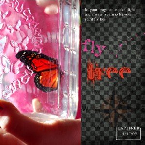 fly free...