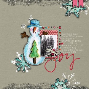December 2, 2011 Snow Joy