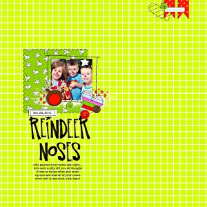 Reindeer Noses