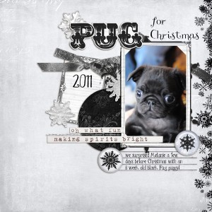 Pug for Christmas