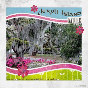 3-18SwL_jekyllislandnature