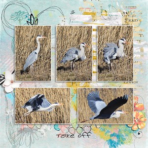 2019_03_Lilypad_RandomChallenge_heron