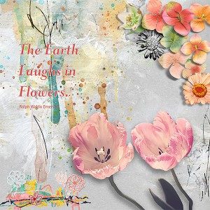 2019_03_Lilypad_InspirationChallenge