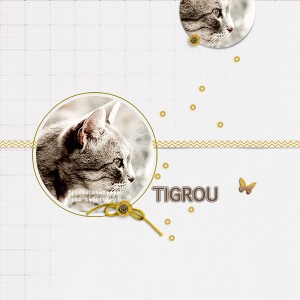 Tigrou