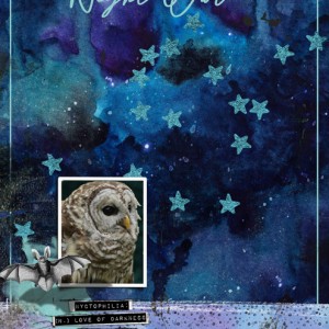 NIGHT-OWL