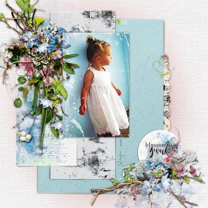 BLOSSOM AND GROW