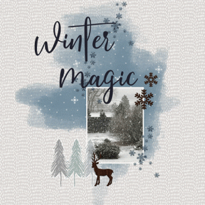 Giant Snowflakes