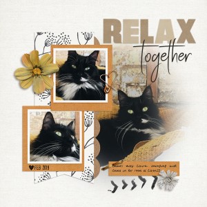 Relax Together