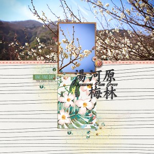 Yugawara Plum Grove