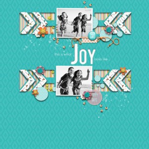 Joyful_800