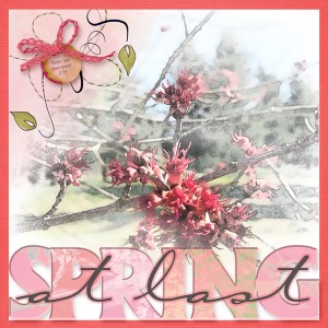 03-22-19_DuoTone_SPRING