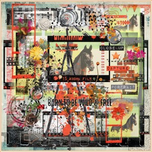 Art Journaling-Paula Kesselring-March-Born To Be Wild & Free