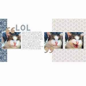 Spot's Cat Jokes
