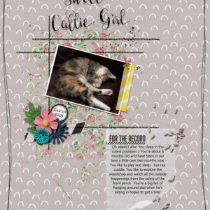 03-2019-PRD-Blog-Challenge-Sweet-Callie-Girl-GAL
