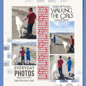 03-19_BoysWalkingDogs