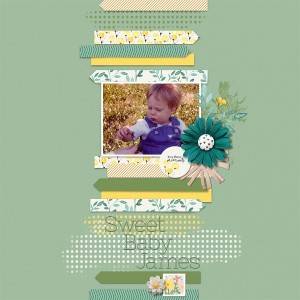 Sweet Baby James