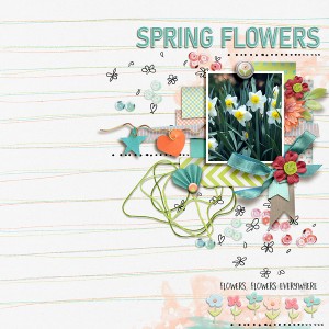 Spring Flowers
