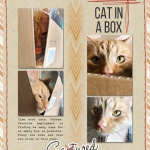 03-19_HobbesInABox