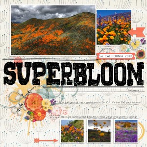 Superbloom