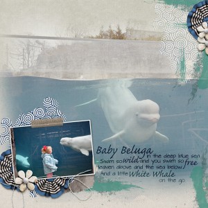 Baby Beluga