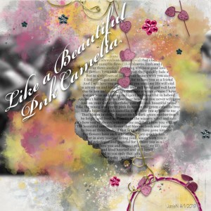 Slow Scrap 4-1_Camelia