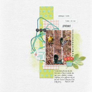 Pink-Reptile-Designs_2019-04_April_SOSN_0403_TalesOfSpring_web
