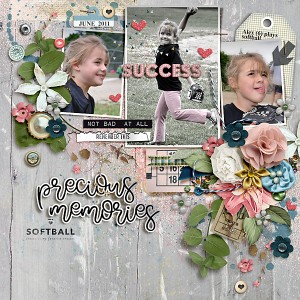 2011 Precious Memories Softball
