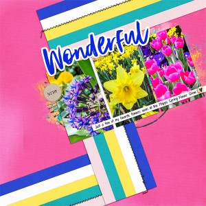 More Spring Flowers