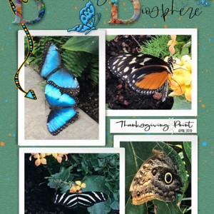04-19_ButterflyBiosphere