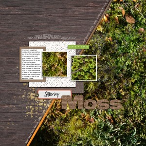 Gathering Moss