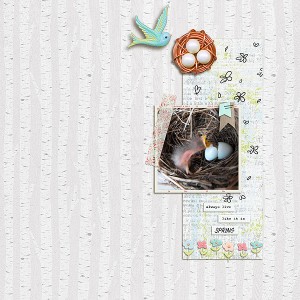 hatchling